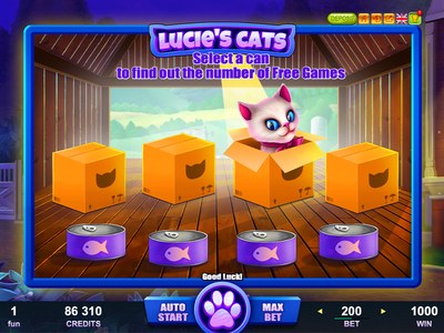 Lucies Cats Породистые любимицы Люси в каталоге Кэт